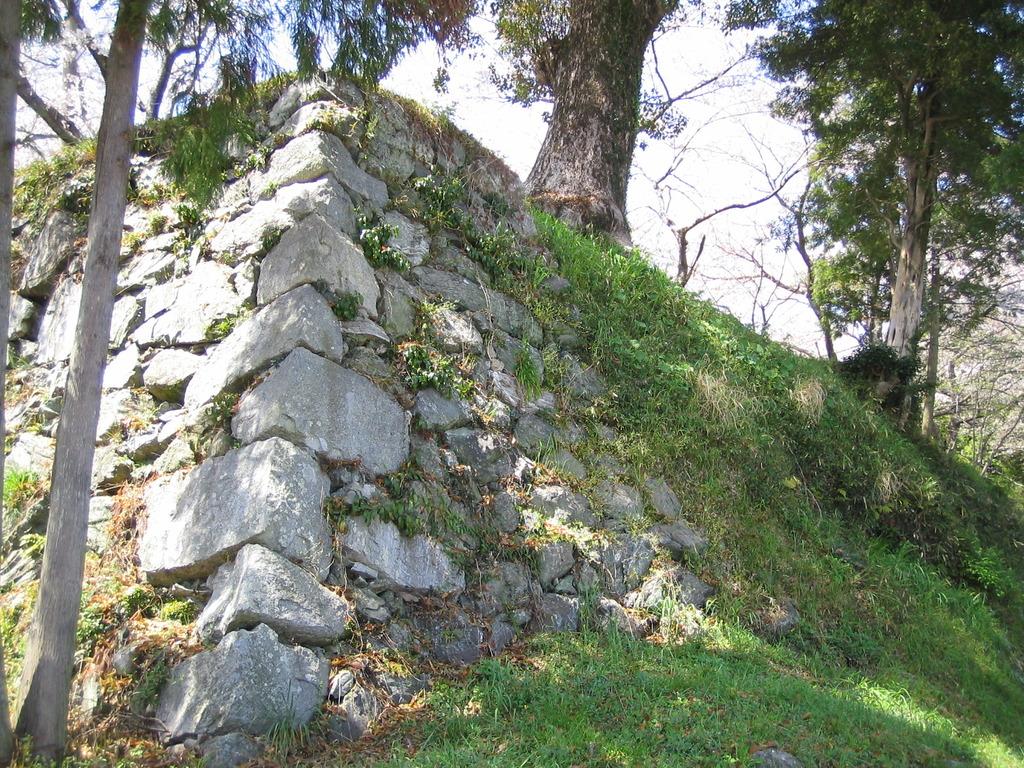 Ruin of Tamaru castle-2