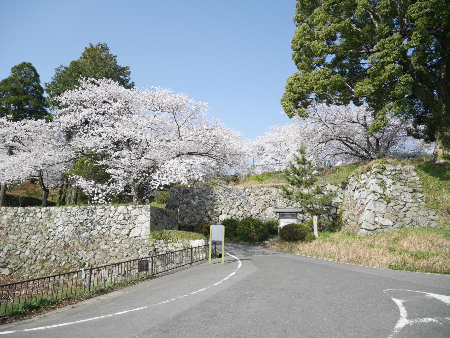 Ruin of Tamaru castle-0