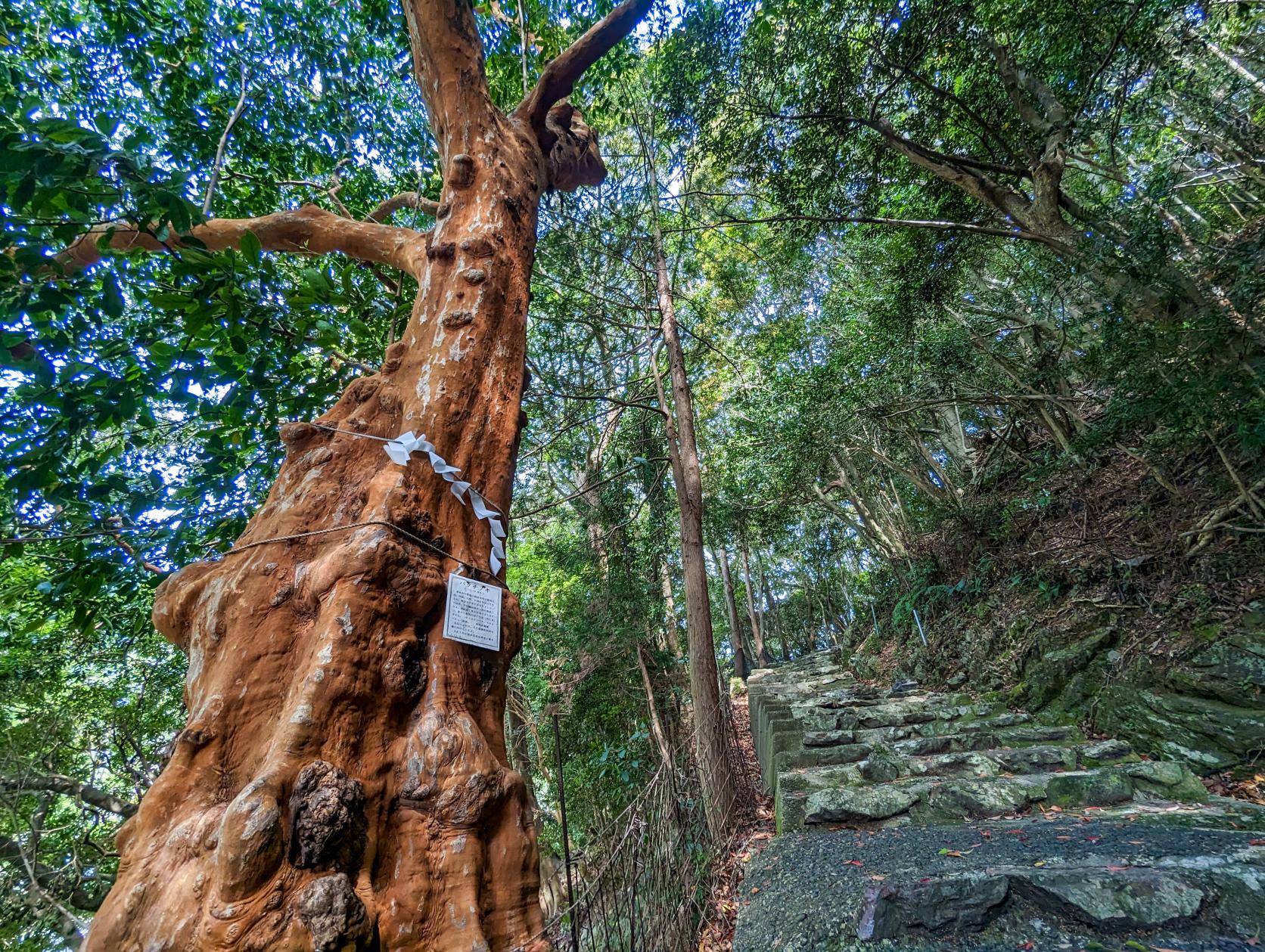 仙宮神社-3