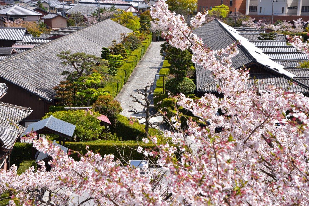 Les vestiges du château de Matsusaka-2