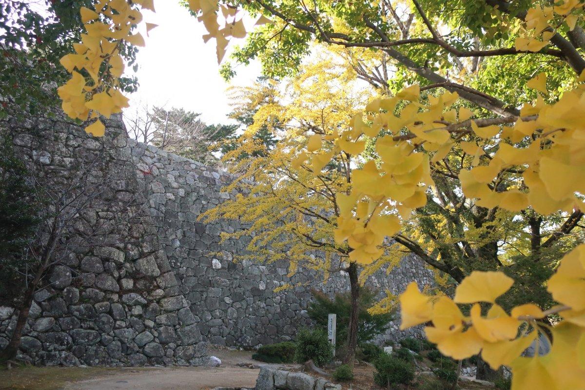 Les vestiges du château de Matsusaka-4