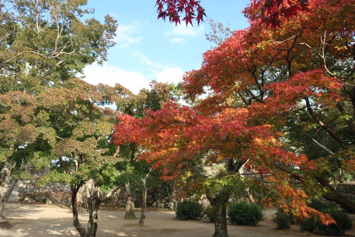 Les vestiges du château de Matsusaka-5