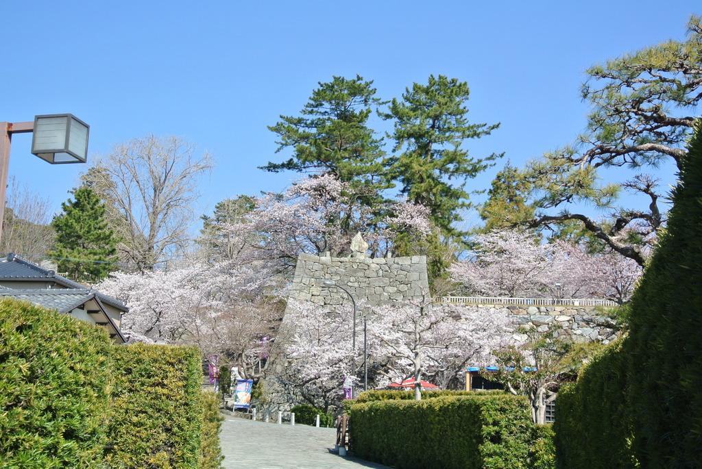 Matsusaka Castle Ruins-6