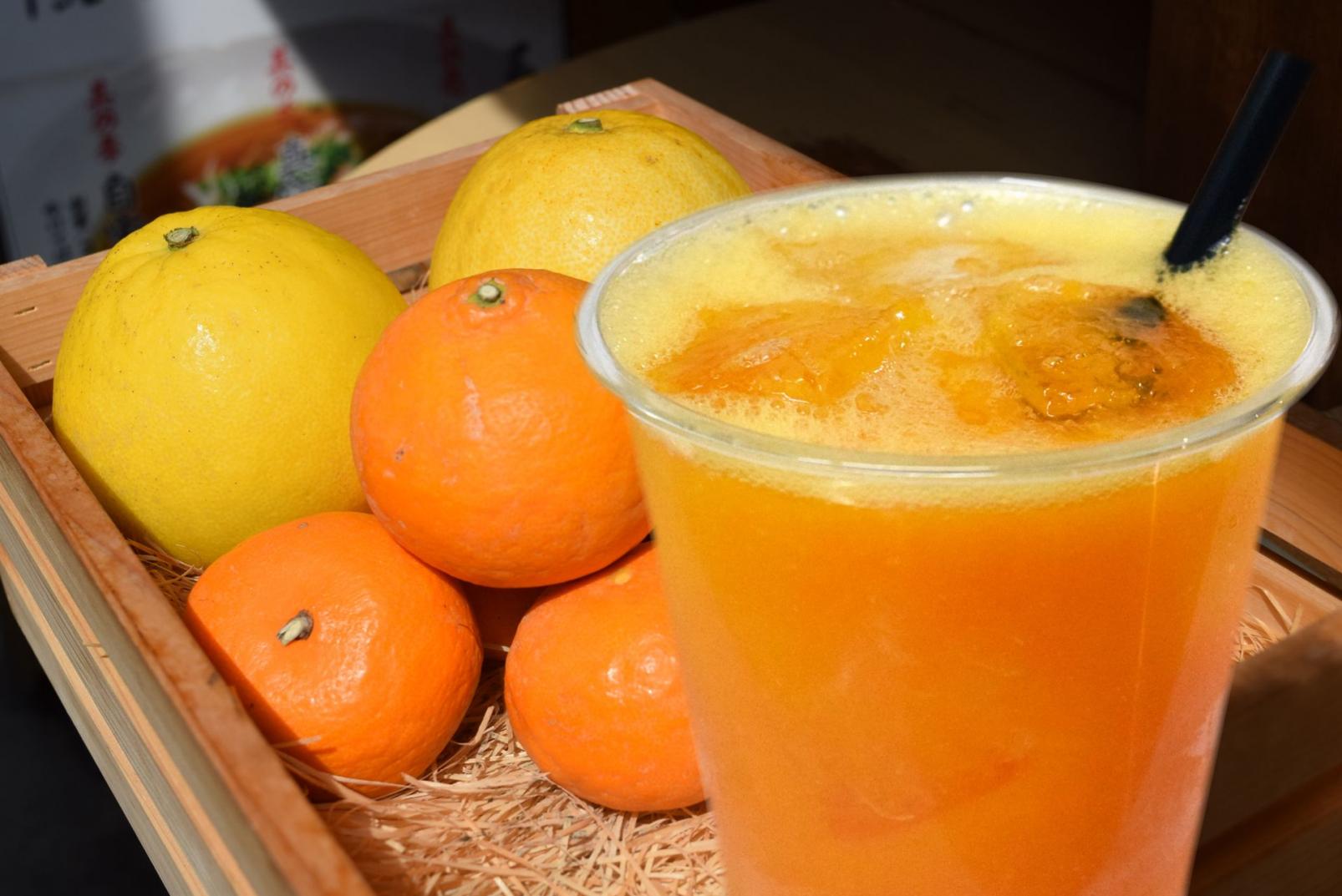 フルーツラボ（おかげ横丁）-1