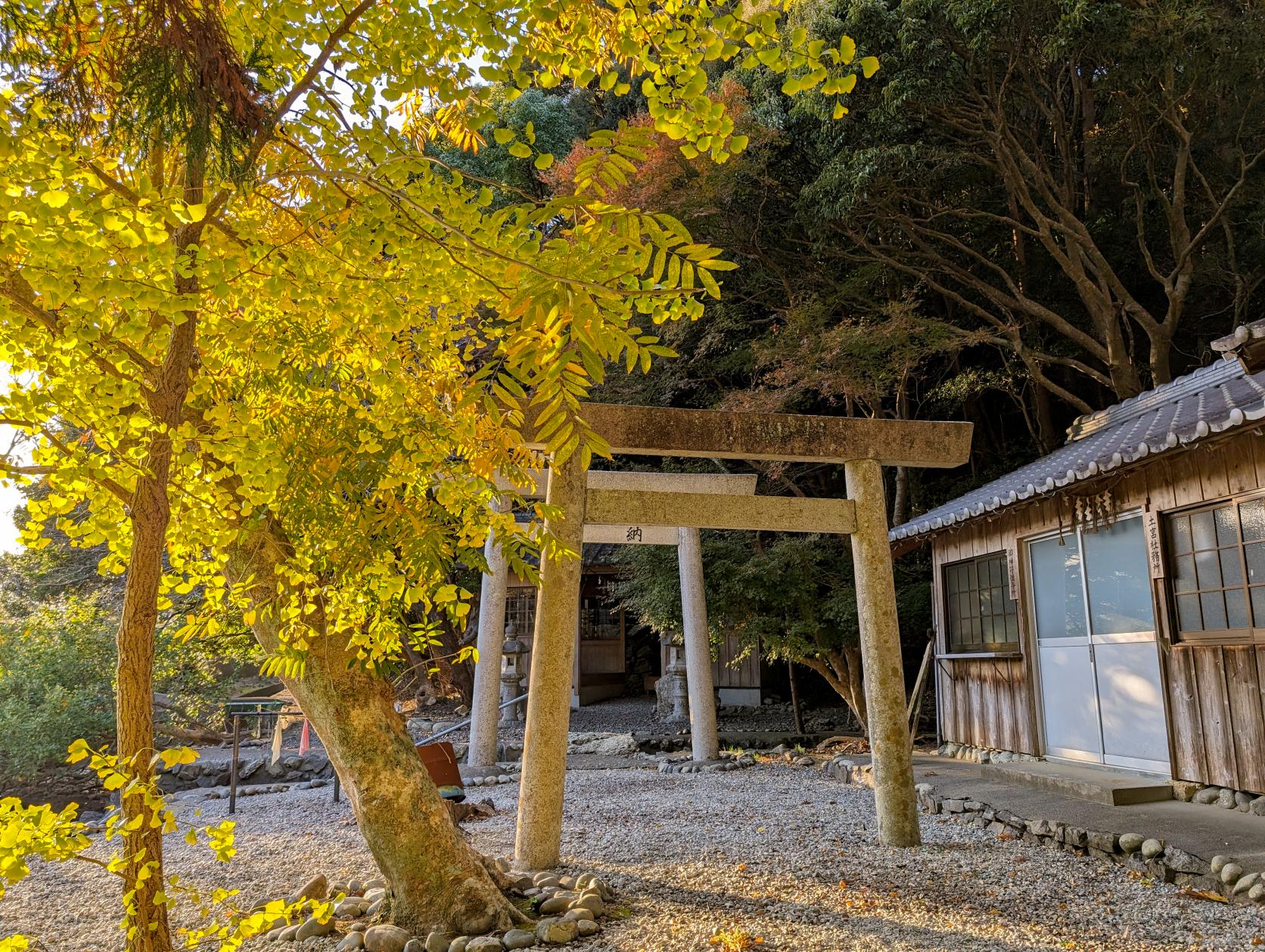 土宮-8