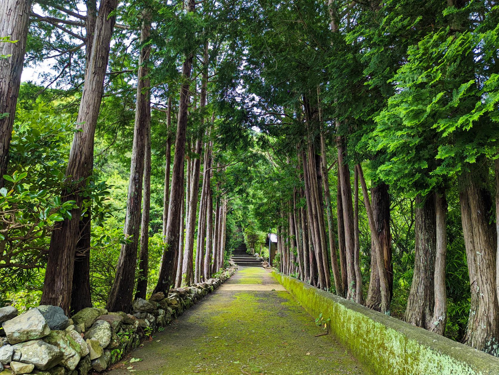 大智院-4