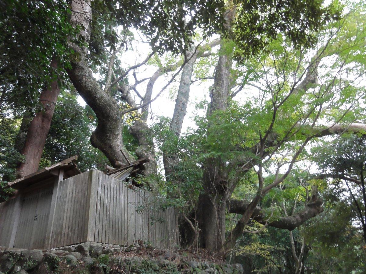 川相神社