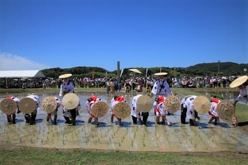 磯部の御神田（おみた）①