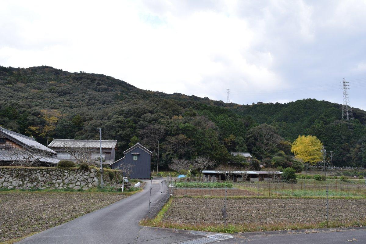 南伊勢町斎田区（農村風景）-0