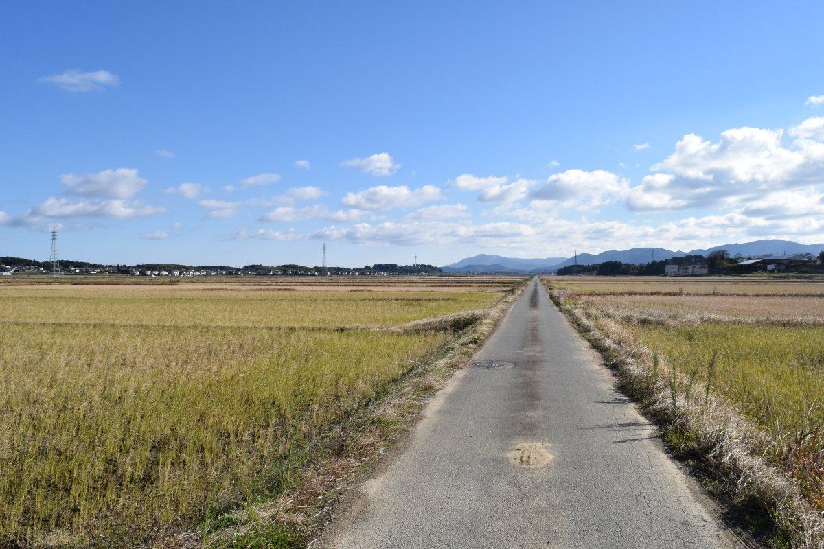 玉城町蚊野地区(田園風景)-4