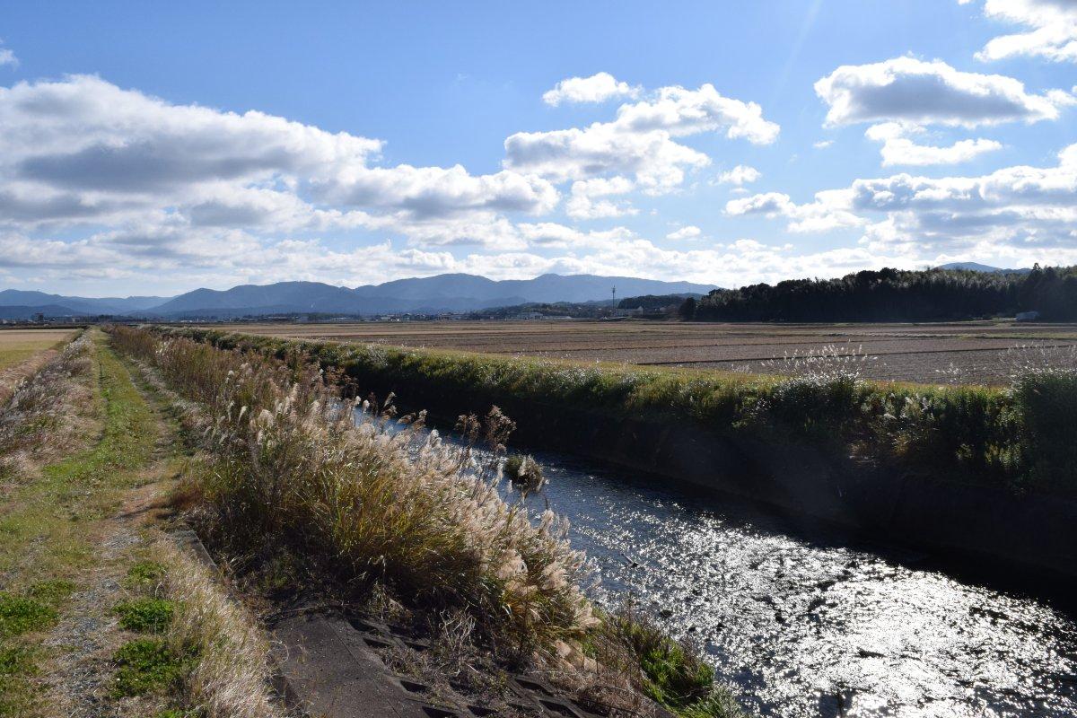 玉城町蚊野地区(田園風景)-1