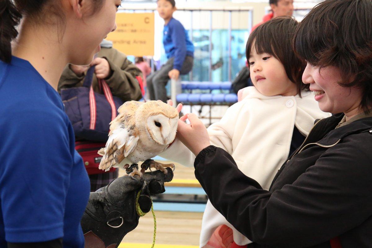 鳥羽水族館GWイベント「～こんなに近くて大丈夫！？～ 超近距離水族館」-1