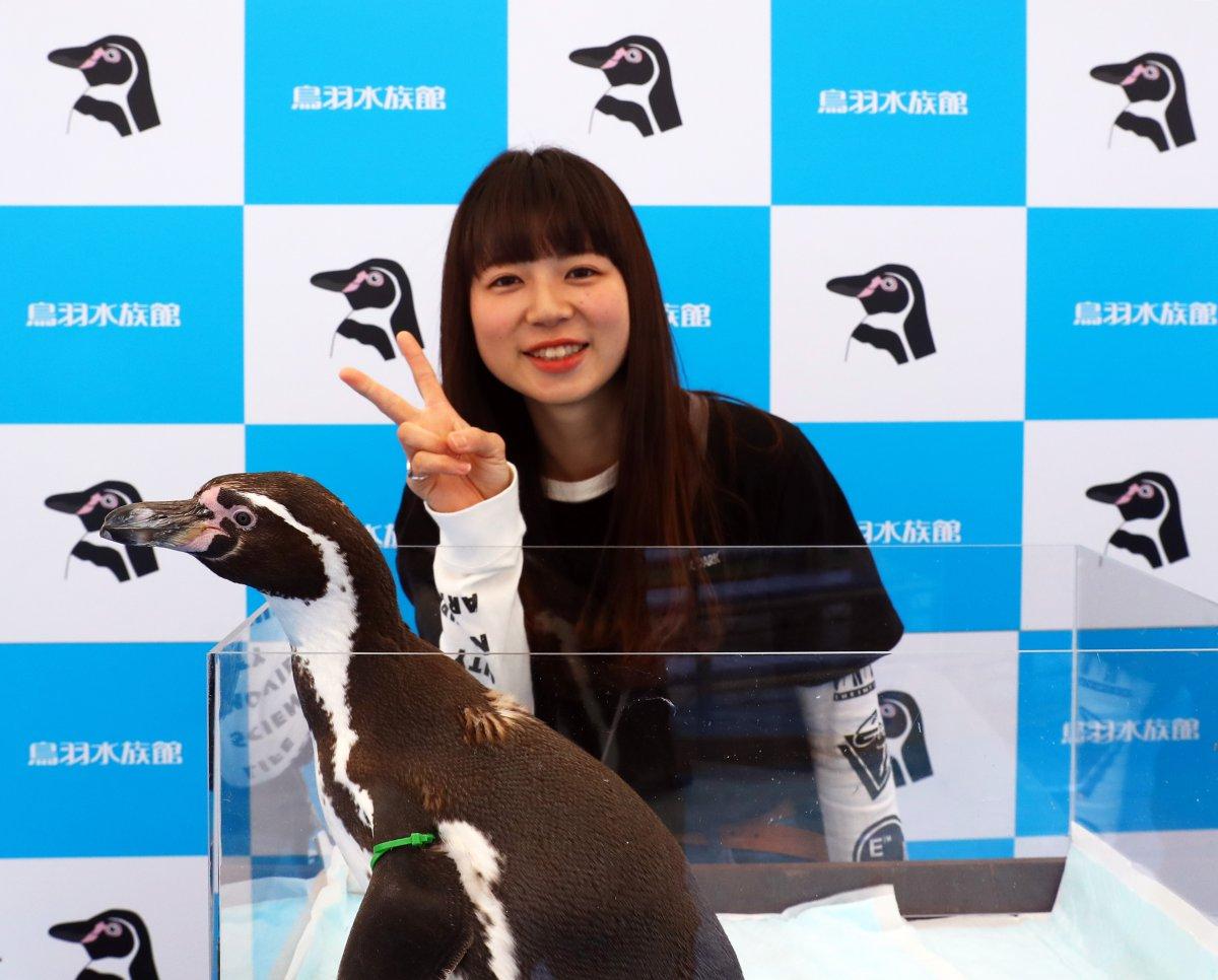 鳥羽水族館GWイベント「～こんなに近くて大丈夫！？～ 超近距離水族館」-0