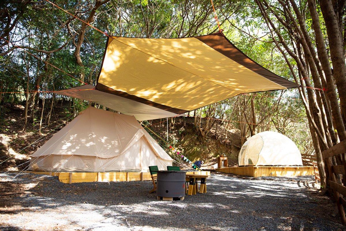 TASO FOREST CAMP-3