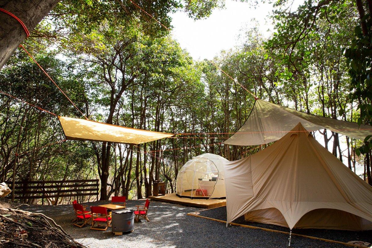 TASO FOREST CAMP-19