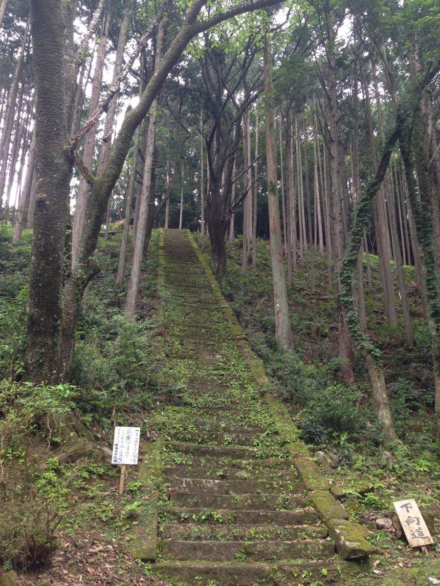 伊勢山上　飯福田寺-2