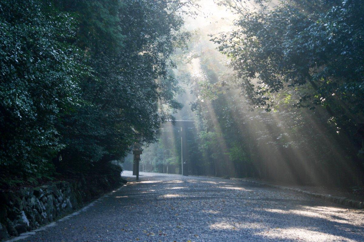 ISESHIMA National Park-2