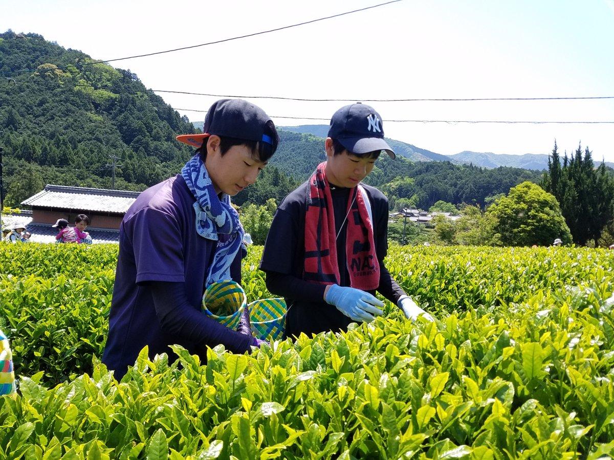 一般社団法人　大紀町地域活性化協議会-6