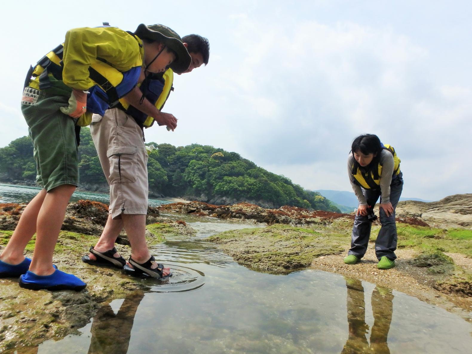 釣り体験・島内散策・ 磯観察など-4