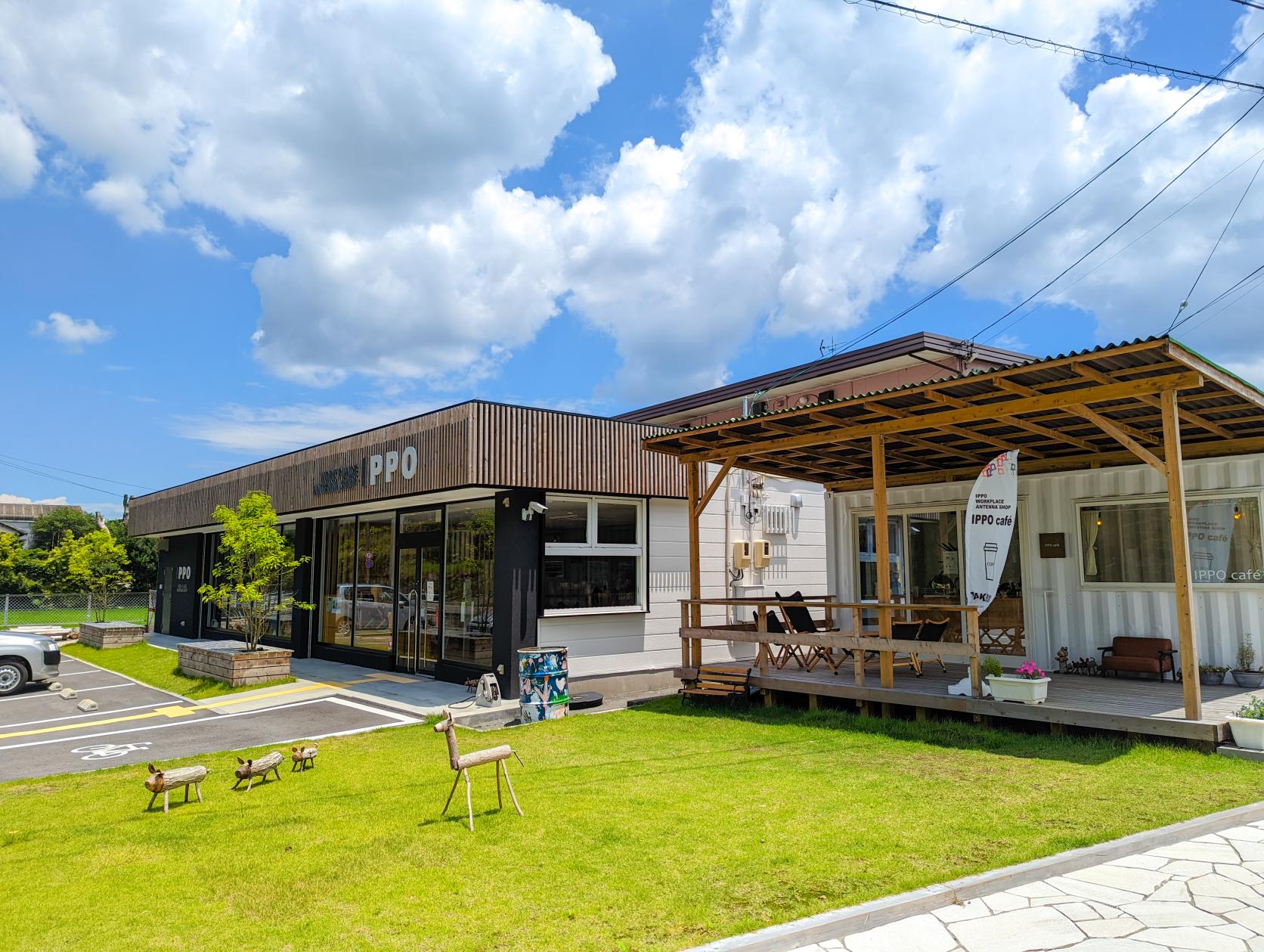 IPPO WORKPLACE ANTENNA SHOP-19