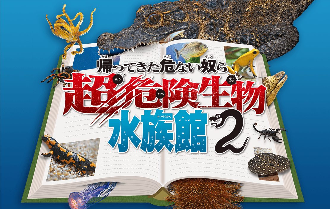 鳥羽水族館 企画展　～帰ってきた危ない奴ら～ 超危険生物水族館2-1