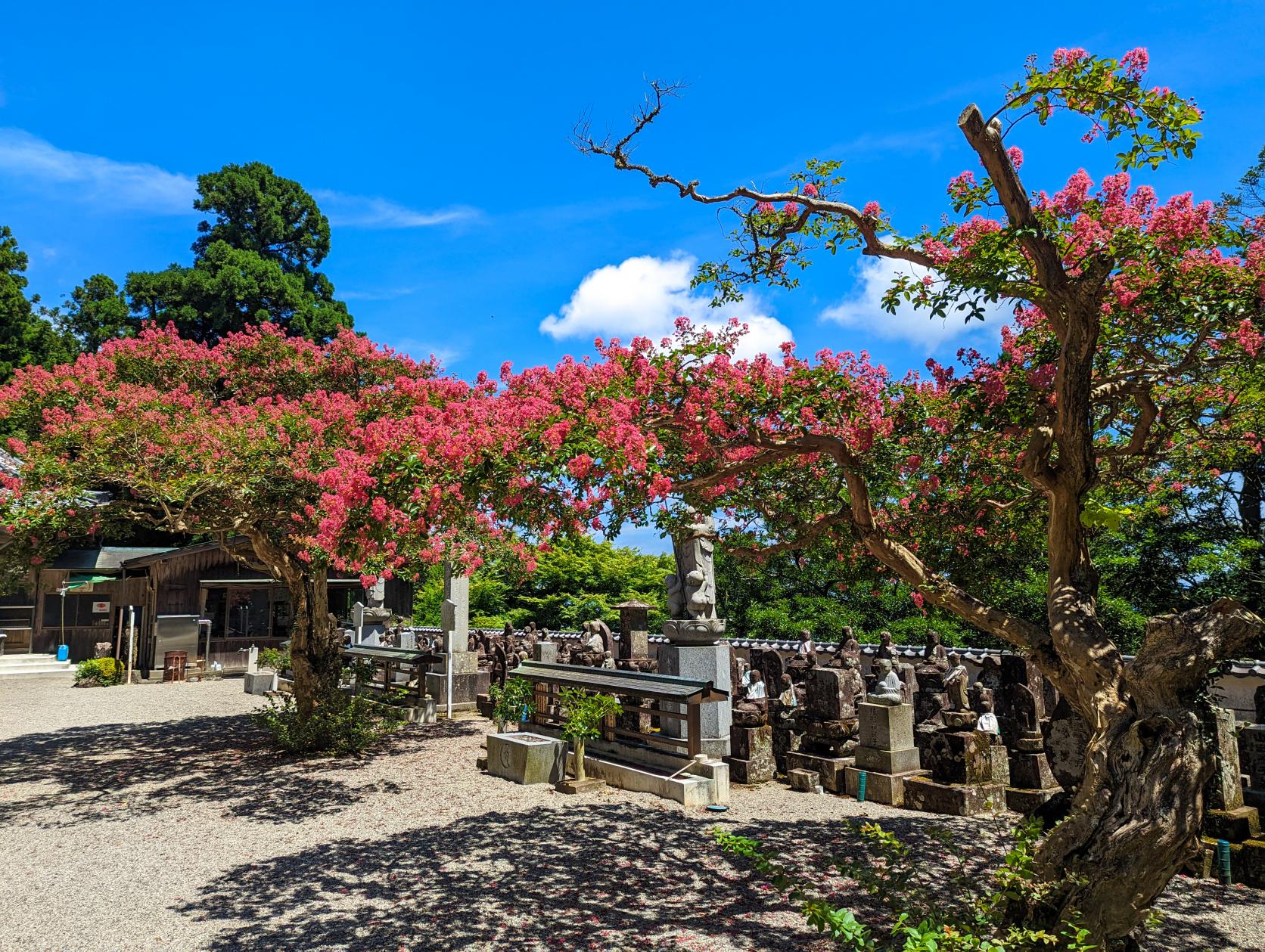 朝熊岳金剛證寺 奥之院-6