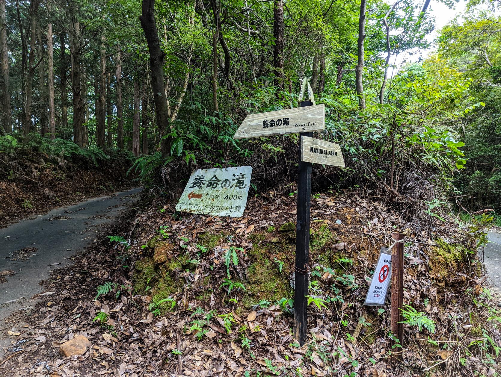 伊勢市 養命の滝-8