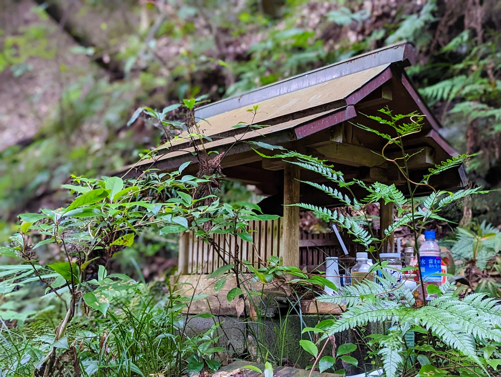 伊勢市 養命の滝-4