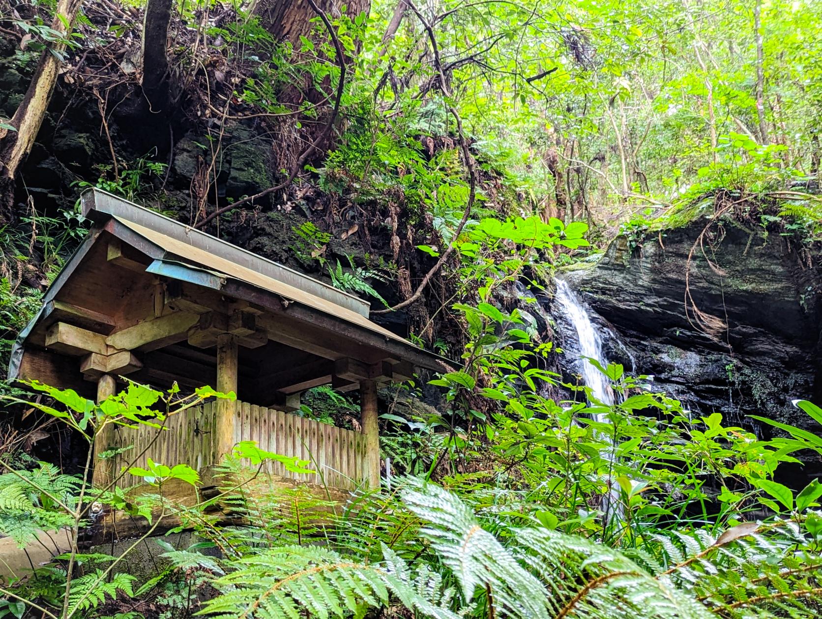 伊勢市 養命の滝-3